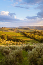 Load image into Gallery viewer, Complete Winery Experience