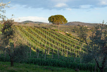 Load image into Gallery viewer, Taste the Flavours of Il Palagio