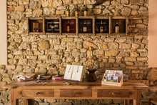 Load image into Gallery viewer, Introductory Wine Tasting
